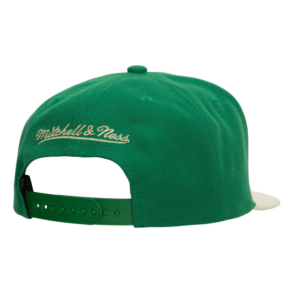 Mitchell and Ness Gorra Team 2 Tone 2.0 Hombre Milwaukee Bucks - NBA Store Chile