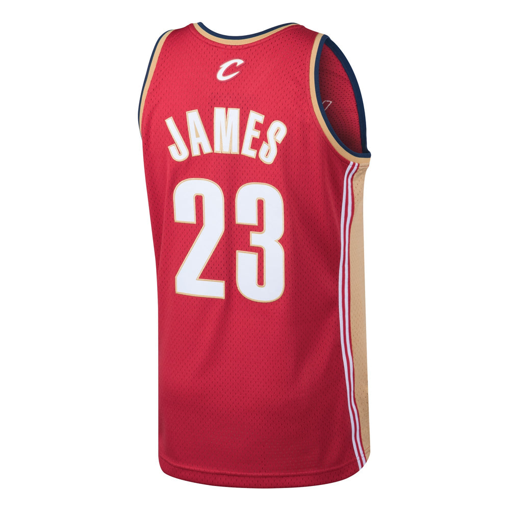 lebron mitchell and ness jersey
