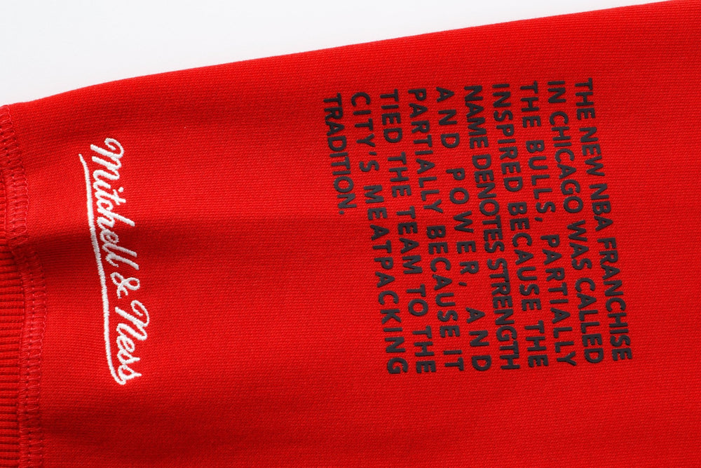 Mitchell and Ness Polerón Hombre Chicago Bulls - NBA Store Chile