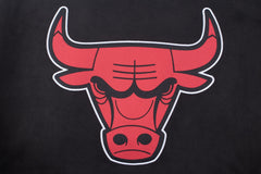 NBA Chaqueta Hombre Chicago Bulls REAL HOOPS - NBA Store Chile
