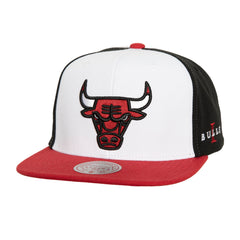 NBA Gorra Hombre Core I Chicago Bulls - NBA Store Chile