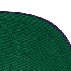 NBA Gorra Legendary Home Pro Snapback Hwc Hombre Toronto Raptors - NBA Store Chile