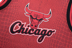 NBA Jersey Hombre Chicago Bulls SKIN - NBA Store Chile
