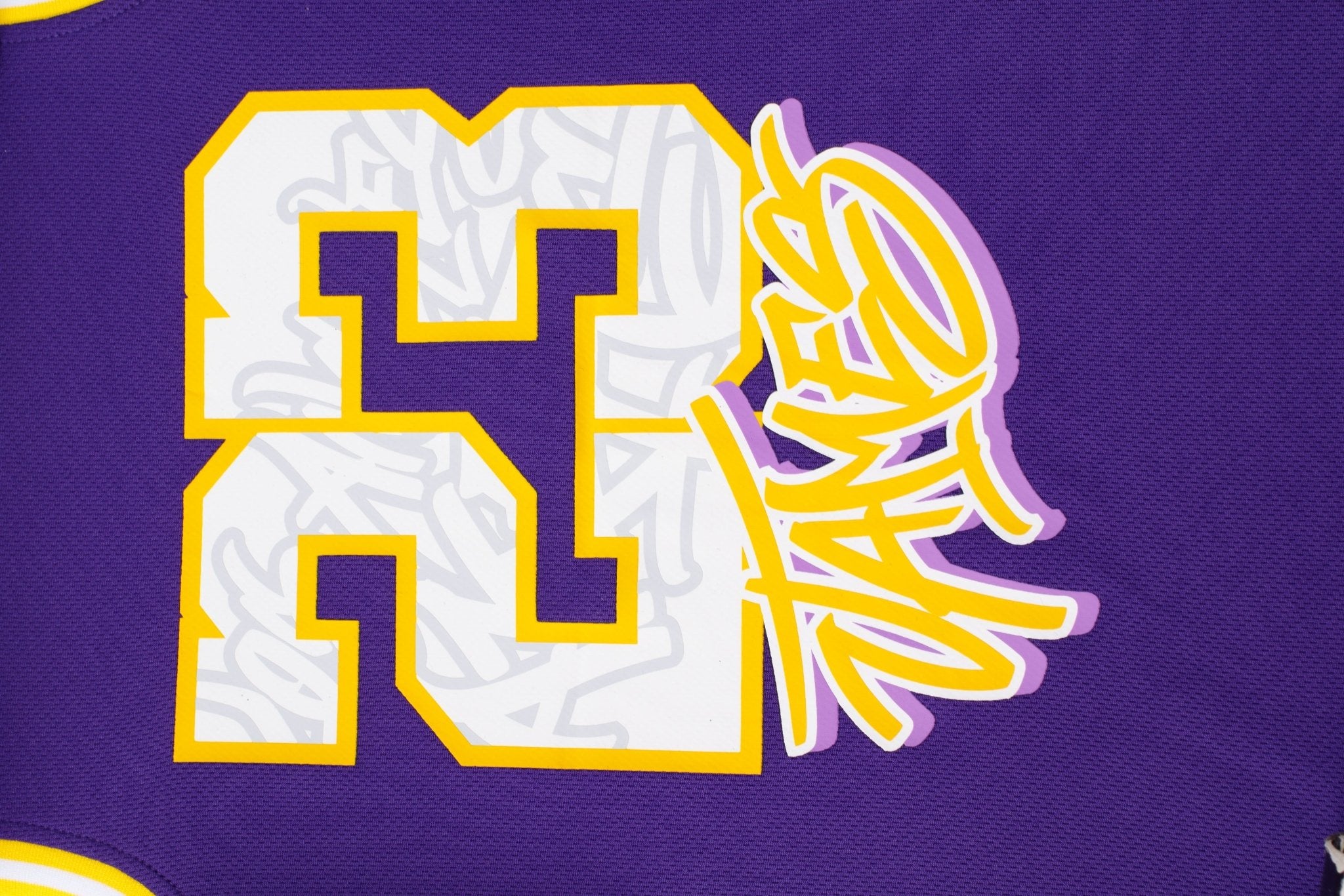 NBA Jersey In the House Niño Los Angeles Lakers Lebron James - NBA Store Chile