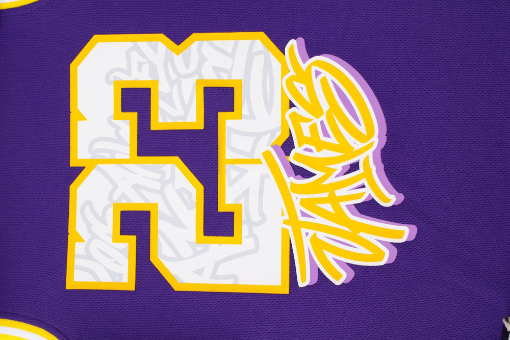 NBA Jersey In the House Niño Los Angeles Lakers Lebron James - NBA Store Chile
