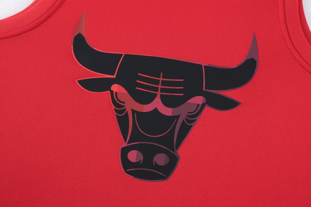NBA Jersey Niño Chicago Bulls Cromatics - NBA Store Chile