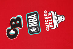 NBA Polera All NBA Hombre Chicago Bulls - NBA Store Chile
