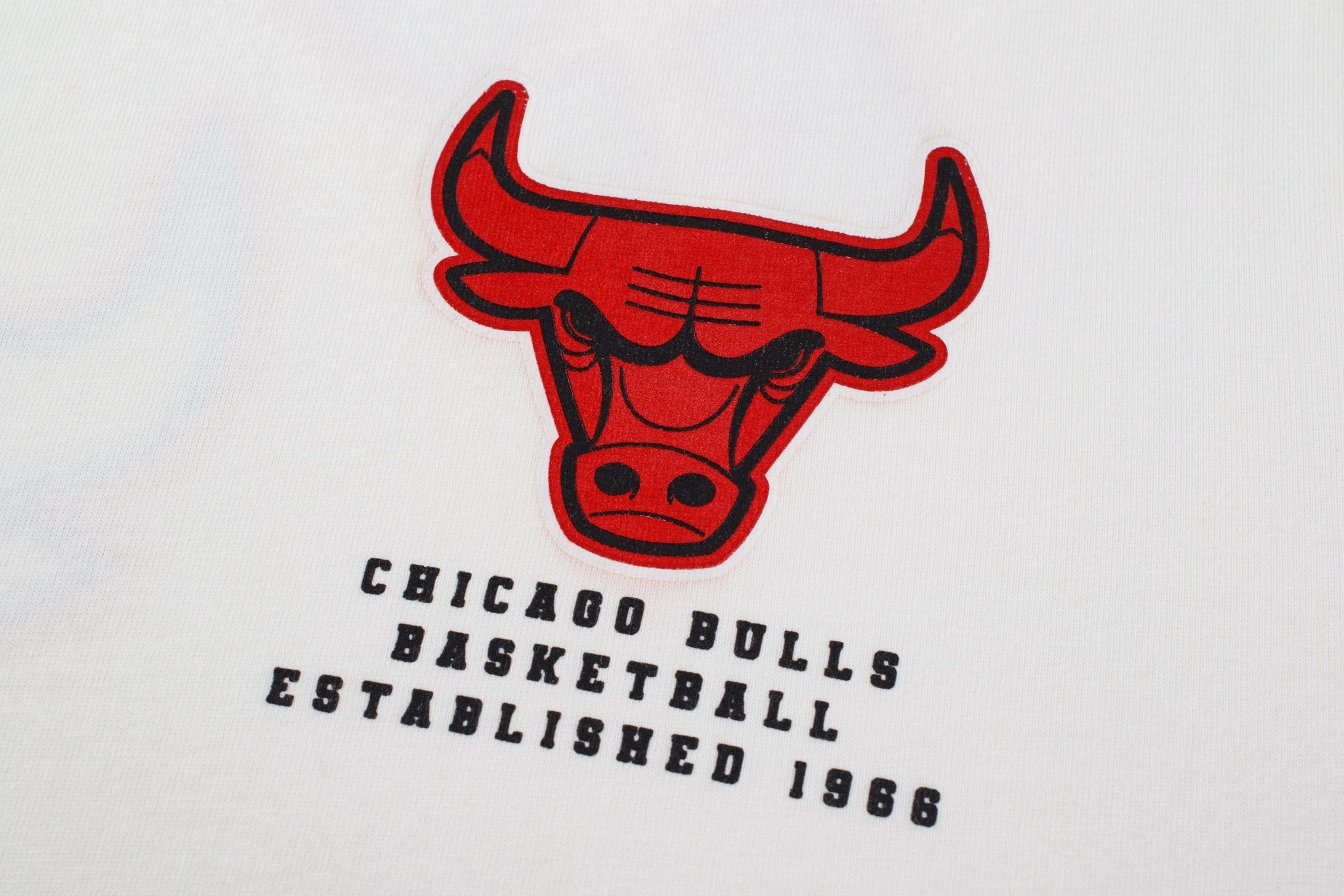 NBA Polera Flare Hombre Chicago Bulls - NBA Store Chile