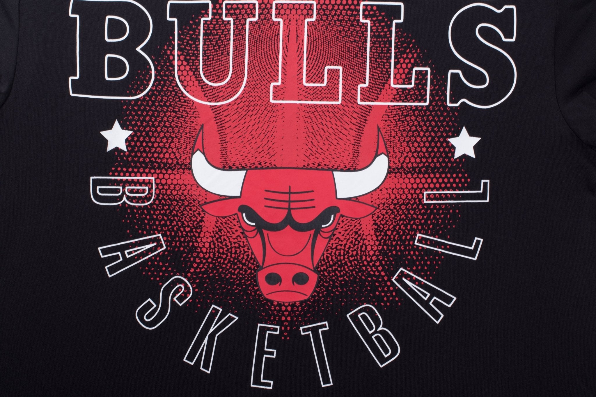 NBA Polera Hombre Chicago Bulls Back Logo - NBA Store Chile