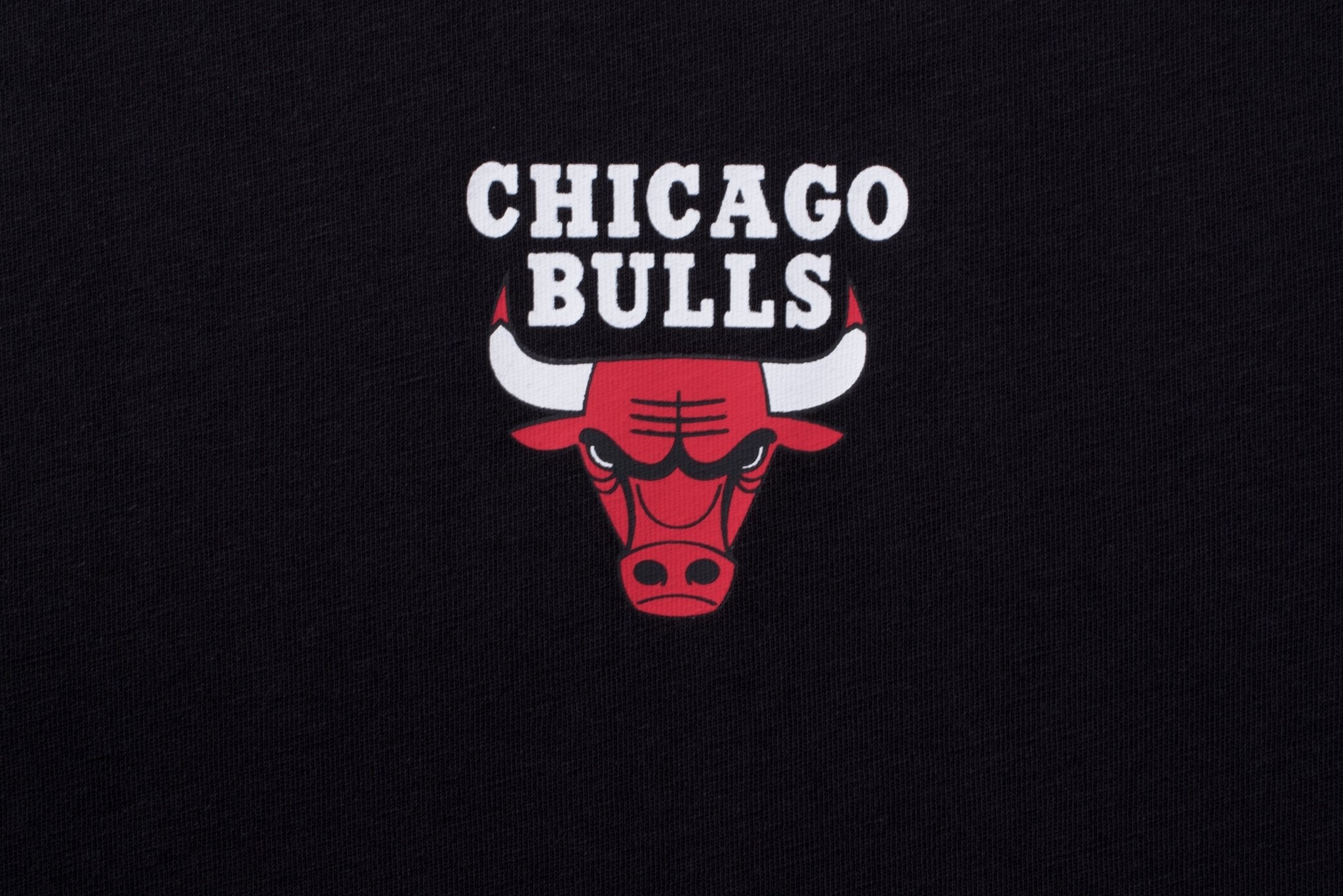 NBA Polera Hombre Chicago Bulls Back Logo - NBA Store Chile