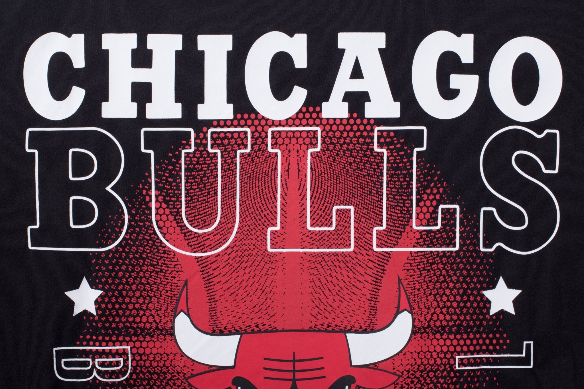 NBA Polera Hombre Chicago Bulls Back Logo - NBA Store Chile