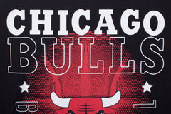NBA Polera Hombre Chicago Bulls Back Logo - NBA Store Chile