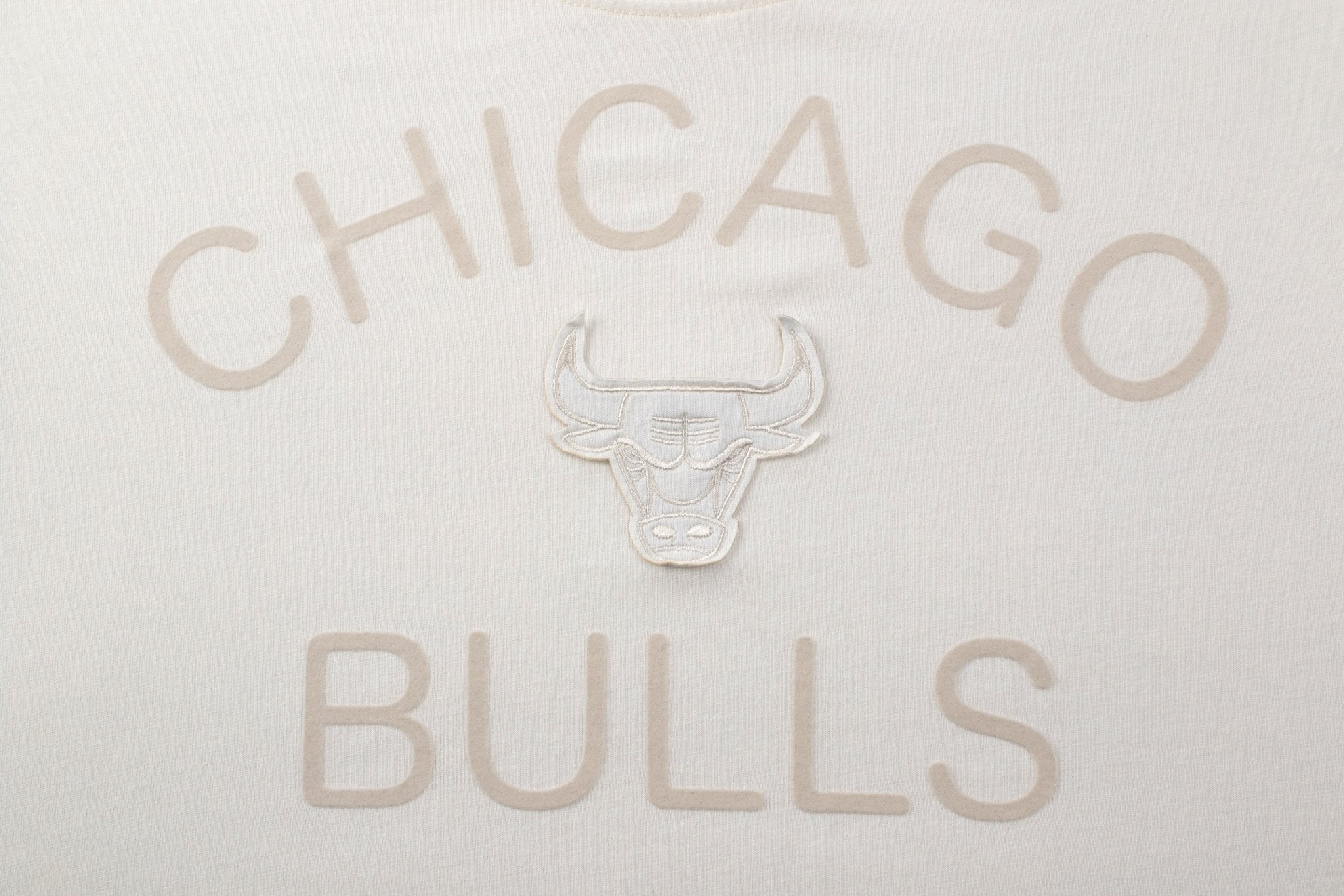 NBA Polera Hombre Chicago Bulls FLAWLESS - NBA Store Chile