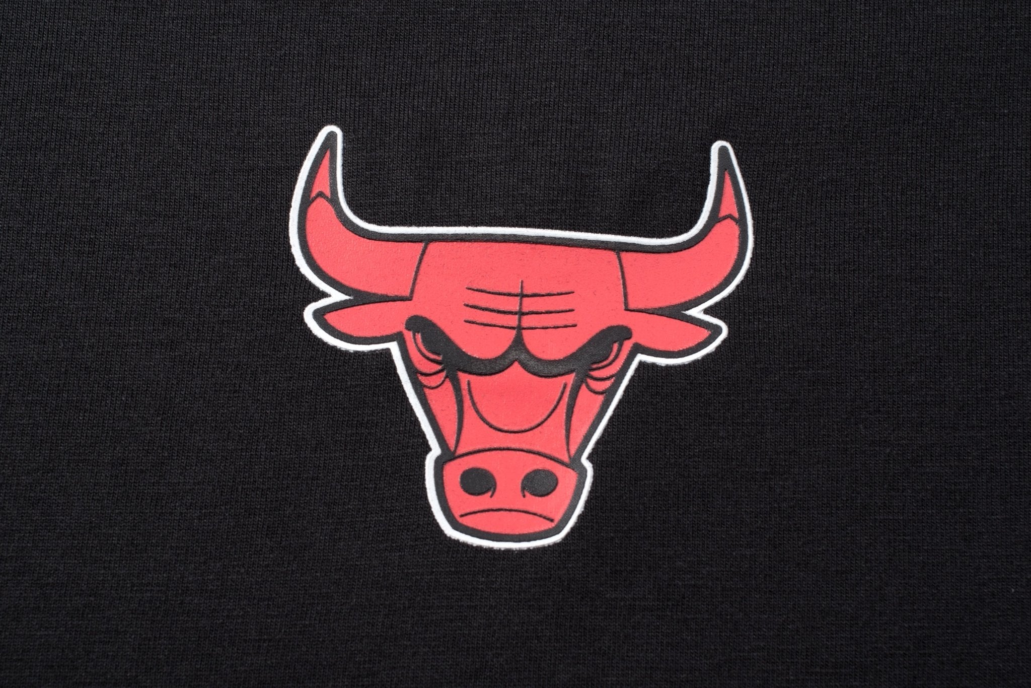NBA Polera Hombre Chicago Bulls Logo REAL HOOPS - NBA Store Chile