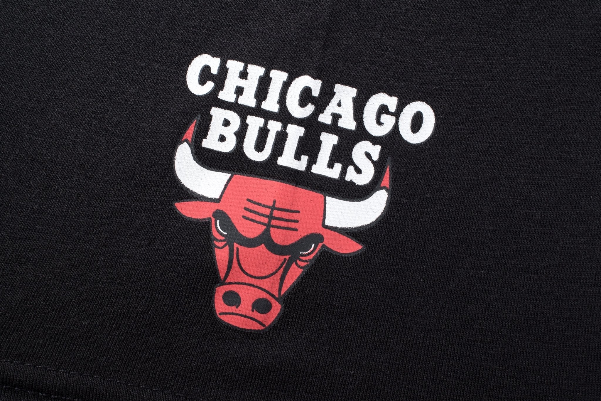 NBA Polera Hombre Chicago Bulls Logo REAL HOOPS - NBA Store Chile