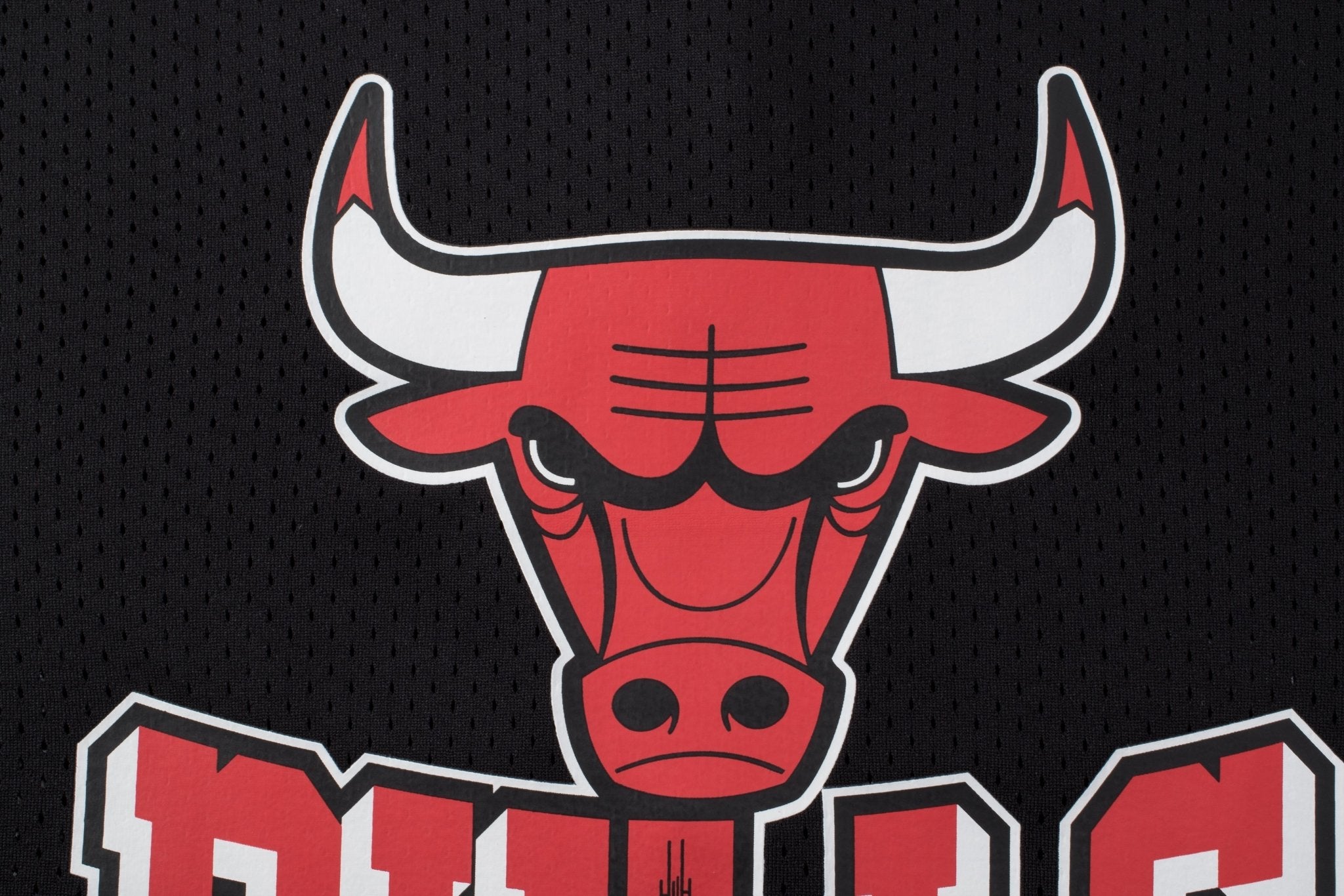 NBA Polera Hombre Chicago Bulls PREMIER - NBA Store Chile