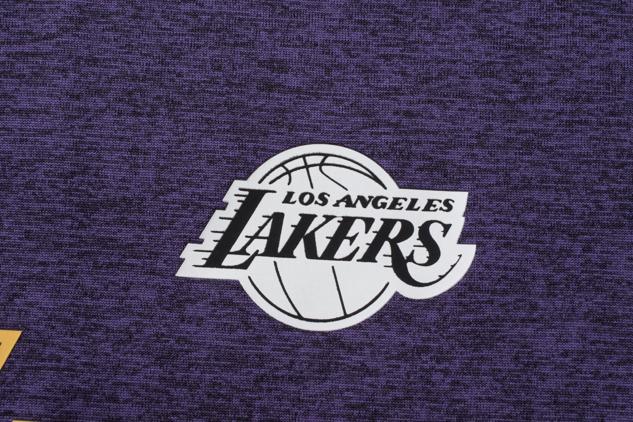 NBA Polera Hombre Los Ángeles Lakers COURTSIDE - NBA Store Chile
