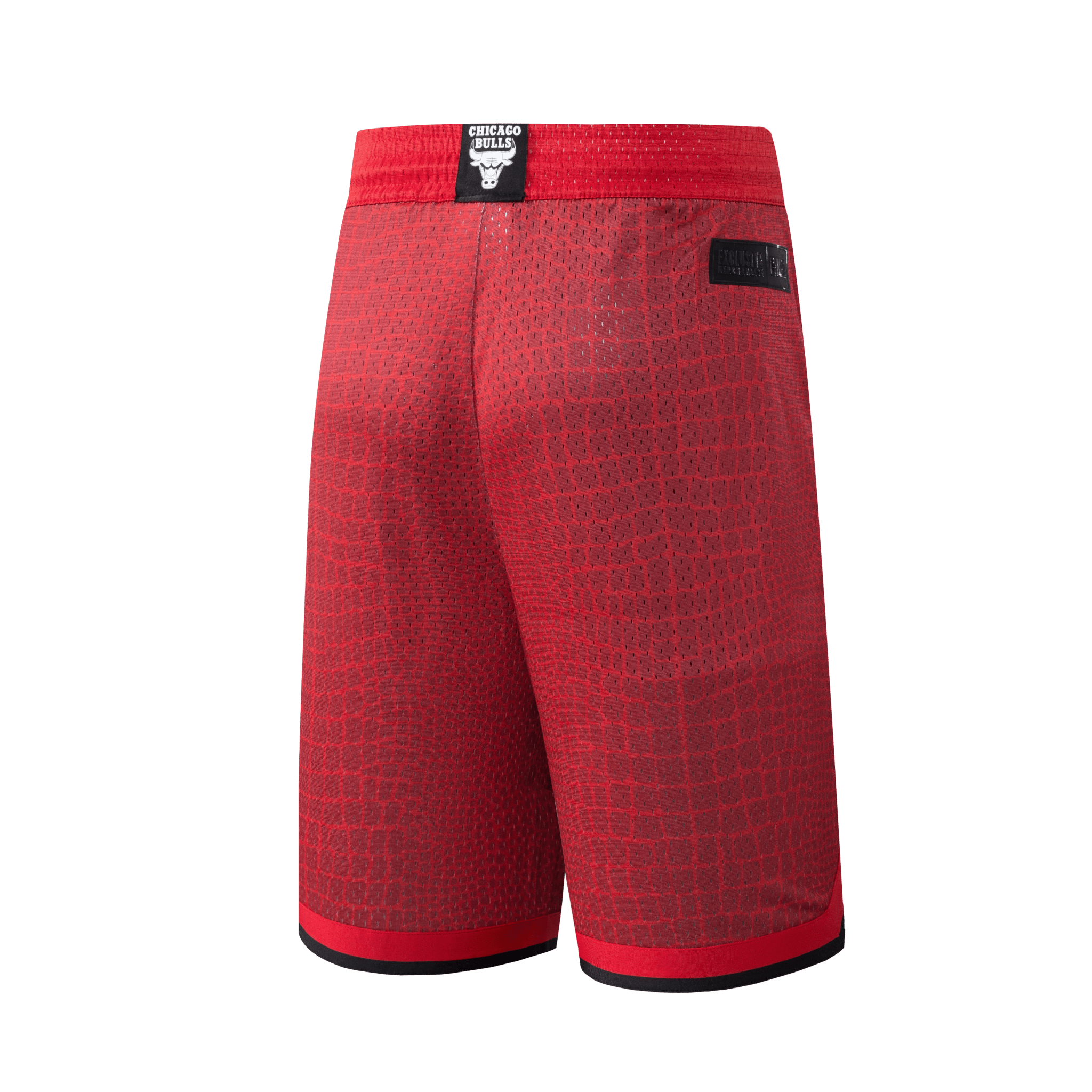 NBA Shorts Hombre Chicago Bulls SKIN - NBA Store Chile